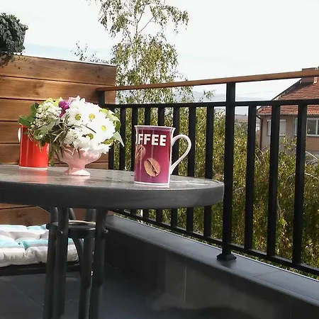 Apartment Rooftop Near Town Centre